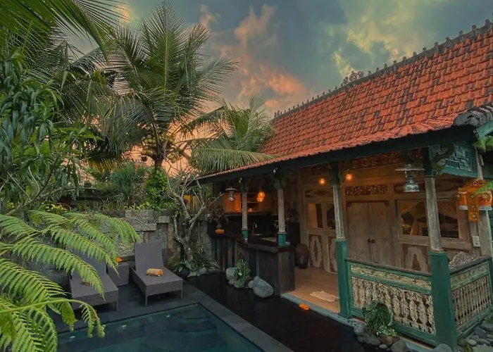 Honeymoon *